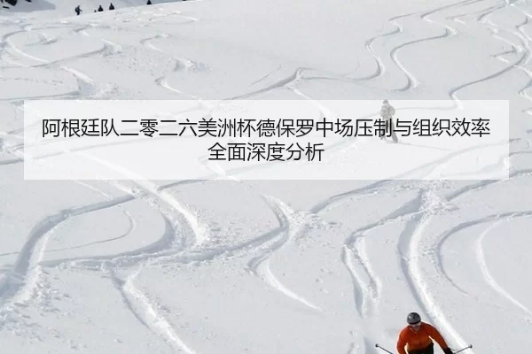 a-gen-ting-dui-er-ling-er-liu-mei-zhou-bei-de-bao-luo-zhong-chang-ya-zhi-yu-zu-zhi-xiao-lv-quan-mian-shen-du-fen-xi-2-905.jpg